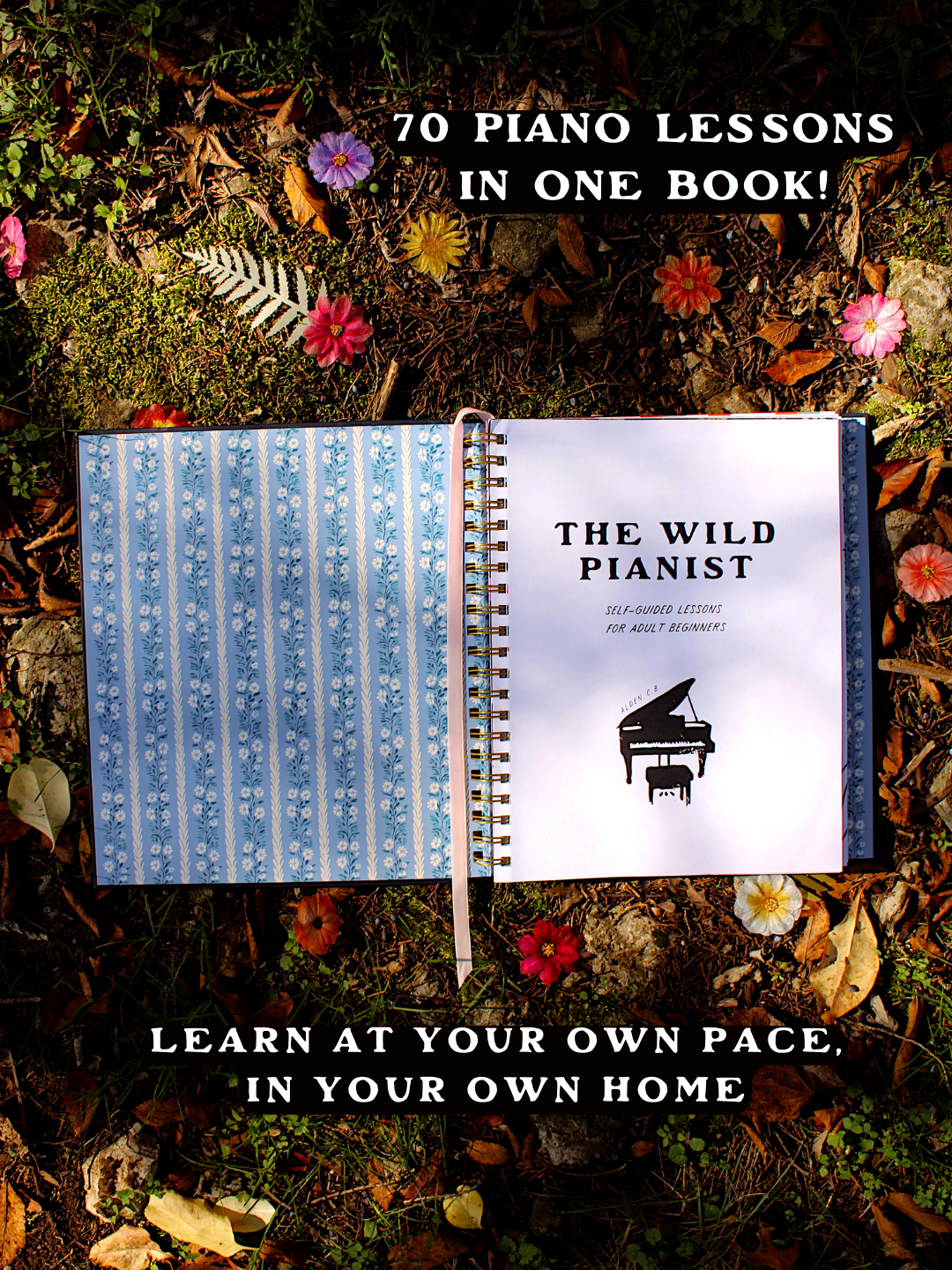 The Wild Pianist: Self-Guided Lessons for Adult Beginners