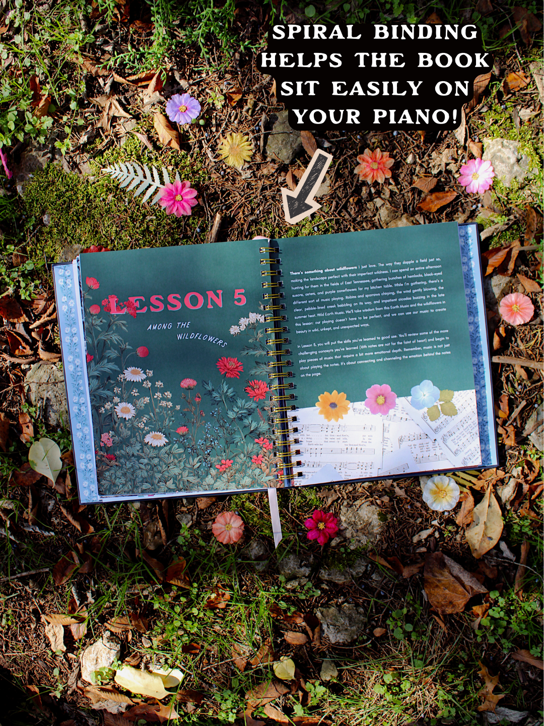 The Wild Pianist: Self-Guided Lessons for Adult Beginners