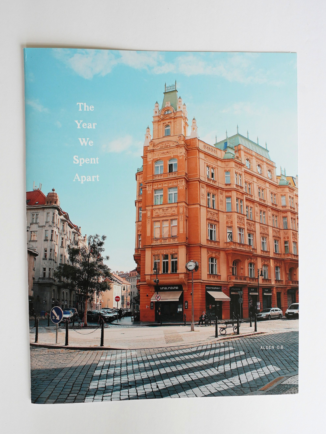 The Year We Spent Apart