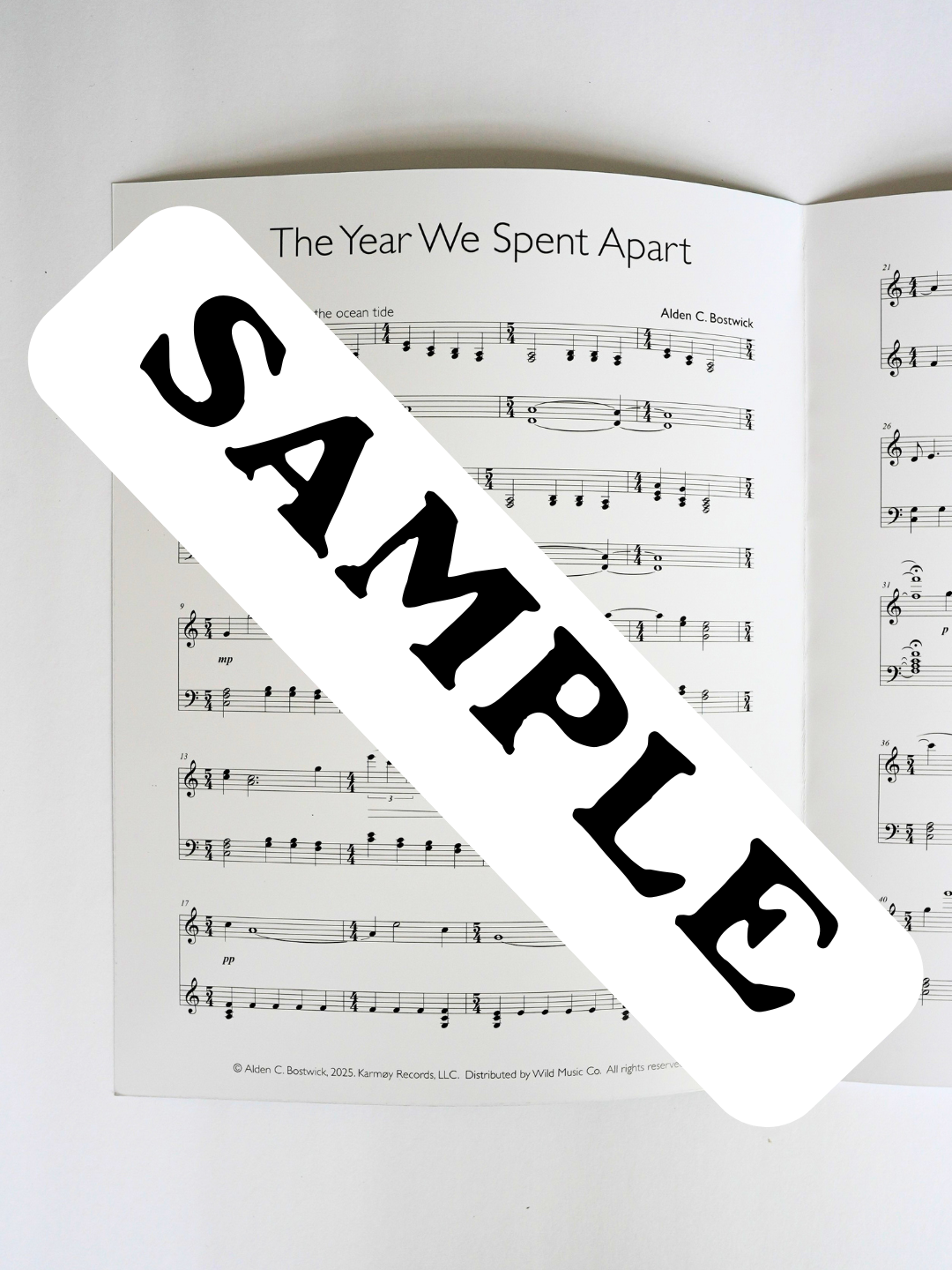 The Year We Spent Apart