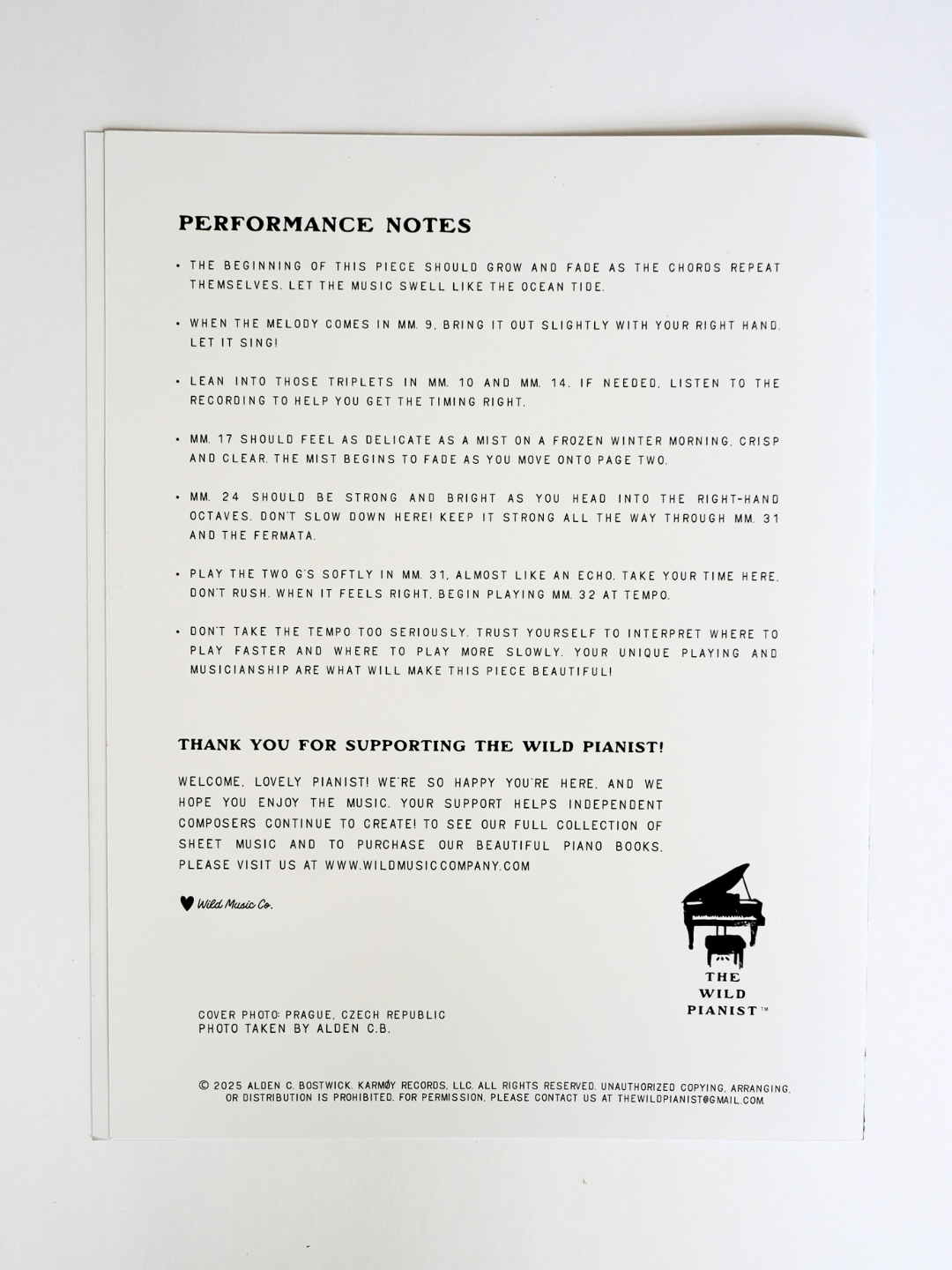 The Year We Spent Apart