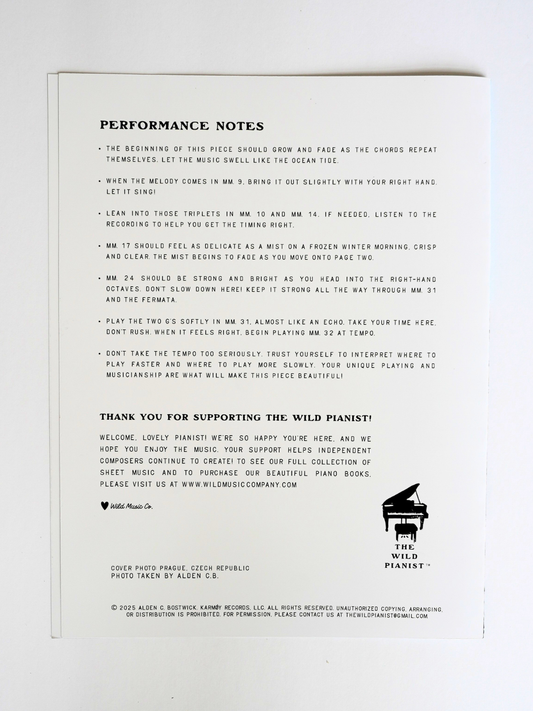 The Year We Spent Apart