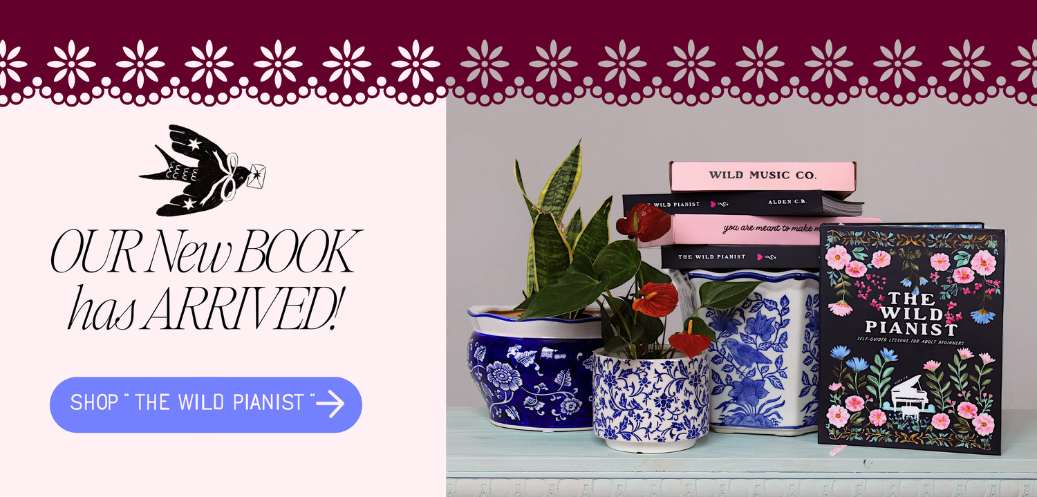 Promotional banner for a new book entitled "The Wild Pianist" with decorative elements and plant pots.