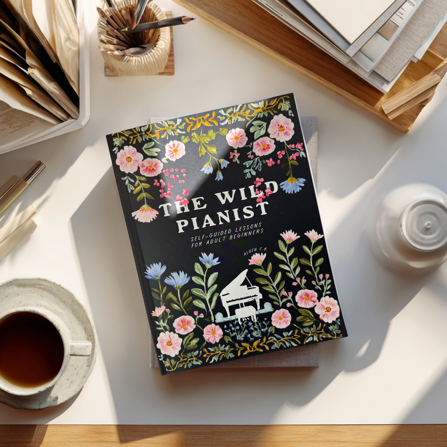 The Wild Pianist: Self-Guided Lessons for Adult Beginners