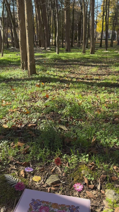 The Wild Pianist: Self-Guided Lessons for Adult Beginners